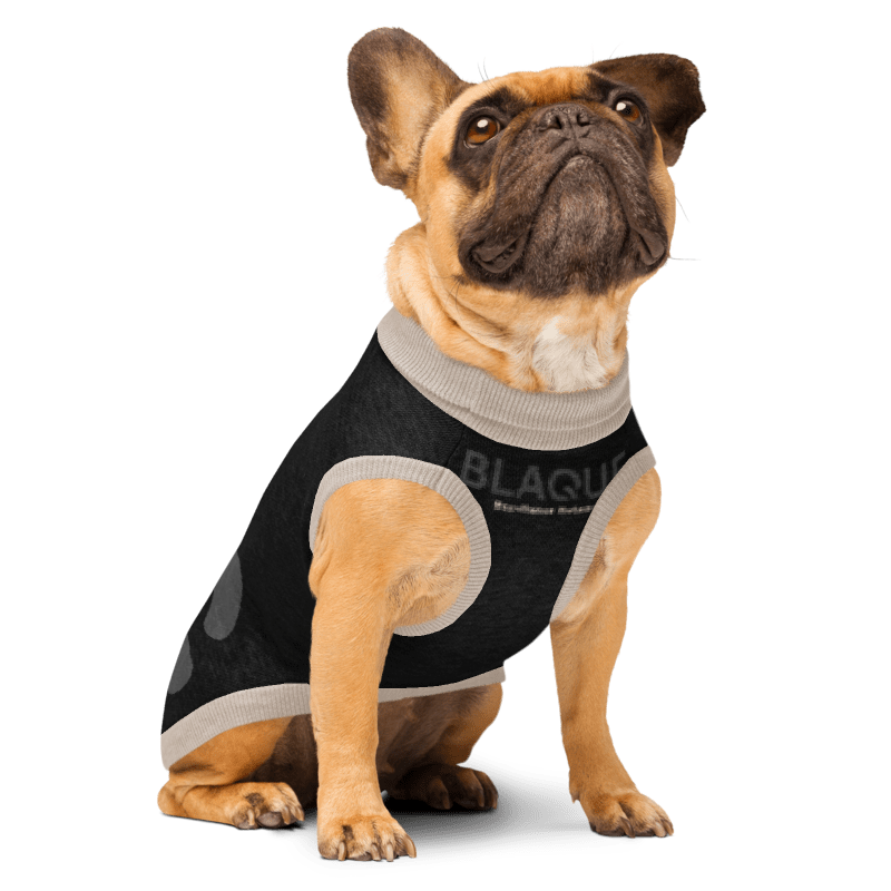BLAQUE Excellence Knitted pet sweater