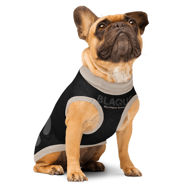 BLAQUE Excellence Knitted pet sweater